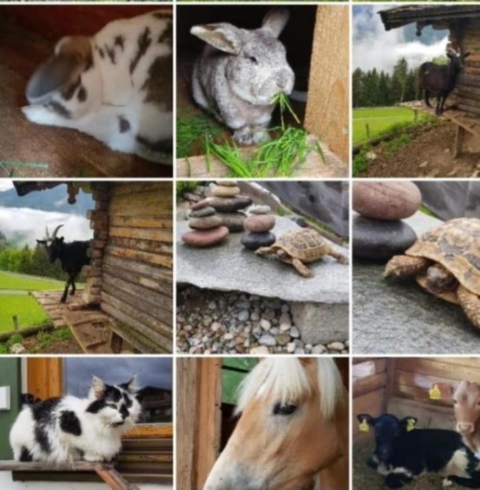 Ettlerlehen Chalets Ramsau bei Berchtesgaden Zewnętrze zdjęcie